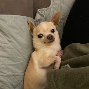 Meet your Posher, Jenny